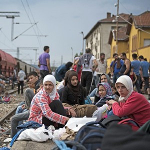 Венгрия закрыла границу с Сербией, чтобы оградиться от мигрантов