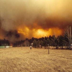 Лесные пожары в Калифорнии уничтожили более 100 домов
