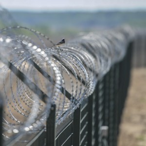 Венгрия продолжит строительство стены от мигрантов вдоль границ с Хорватией и Румынией