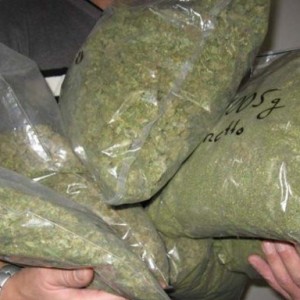 В Аргентине полиция задержала грузовик с 12 тоннами марихуаны