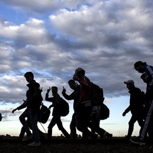 Турция согласилась сдерживать поток мигрантов в Европу