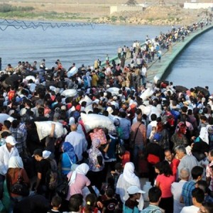 Турция и Еврокомиссия составили план по размещению мигрантов