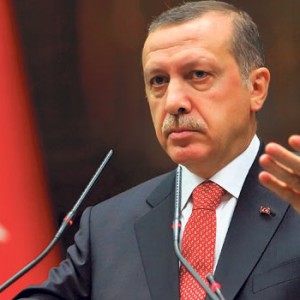 На досрочных выборах в Турции победила партия Эрдогана